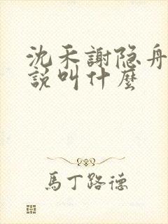 沈禾谢隐舟的小说叫什么