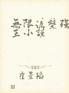 无限流双强双男主小说