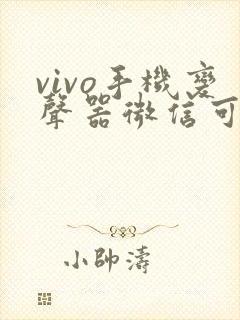 vivo手机变声器微信可以用吗