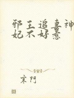 邪王追妻神医狂妃不好惹