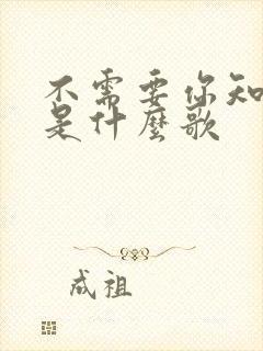 不需要你知道我是什么歌