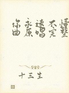 你永远不懂我歌曲原唱完整版歌词