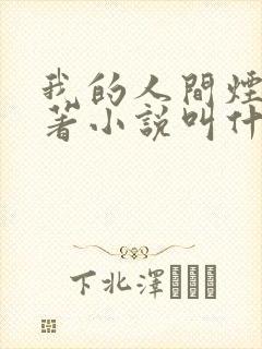 我的人间烟火原著小说叫什么