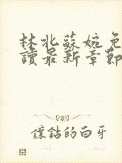 林北苏婉免费阅读最新章节