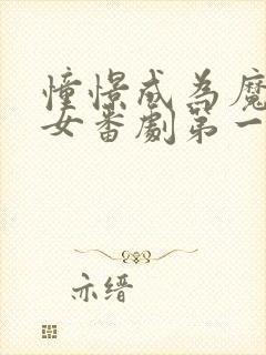 憧憬成为魔法少女番剧第一季