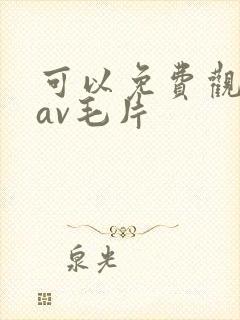 可以免费观看的av毛片