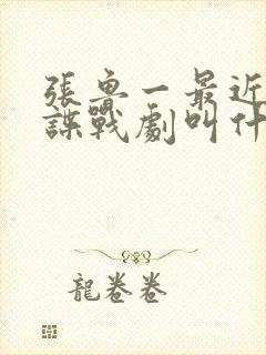 张鲁一最近一部谍战剧叫什么名字