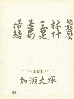 扫毒王林最后的结局是什么