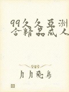 99久久亚洲综合精品成人