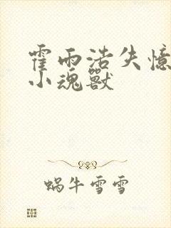 霍雨浩失忆变成小魂兽