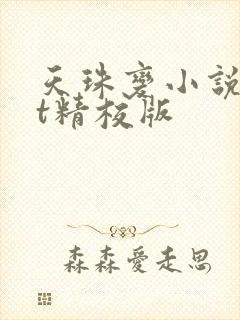 天珠变小说txt精校版