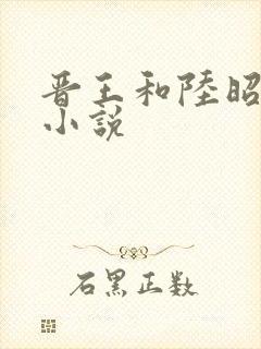 晋王和陆昭菱的小说