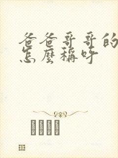 爸爸哥哥的儿子怎么称呼