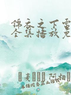 锦衣之下电视剧全集播放免费