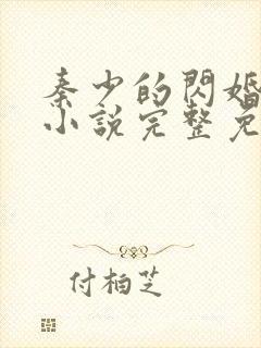 秦少的闪婚娇妻小说完整免费