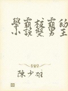 学霸校霸的校园小说双男主