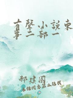 有声小说东北往事二部一