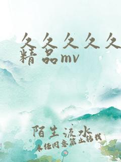 久久久久久国产精品mv