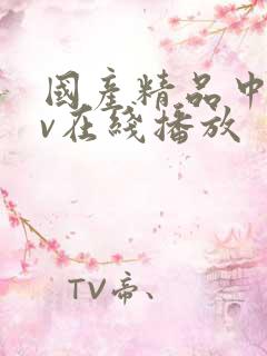 国产精品中文av在线播放