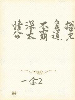 情深不负总裁老公太霸道免费阅读