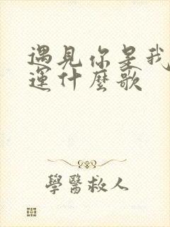 遇见你是我的幸运什么歌