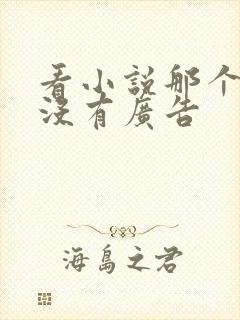 看小说那个网站没有广告