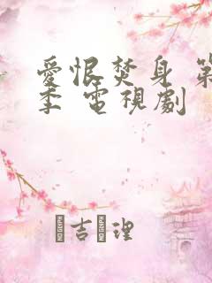 爱恨焚身 第一季 电视剧