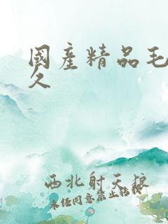 国产精品毛片久久