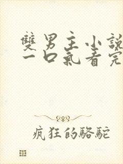 双男主小说完结一口气看完