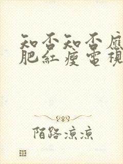 知否知否应是绿肥红瘦电视剧全集免费观看