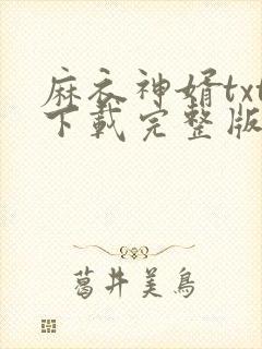 麻衣神婿txt下载完整版