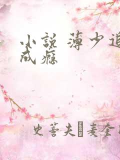 小说 薄少追妻成瘾