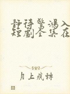 静待惊鸿入翁慌短剧全集在线观看