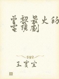 曾黎最火的5部电视剧