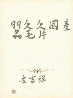 99久久国产精品毛片