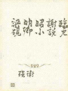 梁明昭谢临飞沈砚卿小说免费阅读