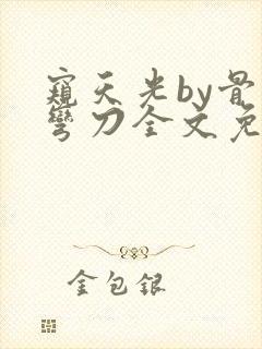 窥天光by骨色弯刀全文免费阅读笔趣阁