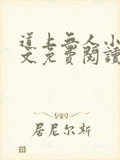 道上无人小说全文免费阅读