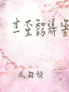 才不知道你是我一生的所有是什么歌