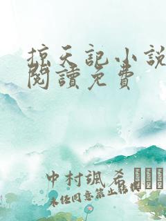 掠天记小说全文阅读免费