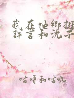 我在他乡挺好的许言和沈子畅结局