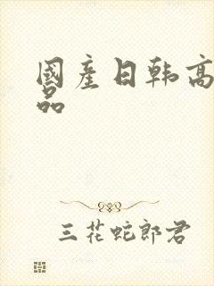 国产日韩高清精品