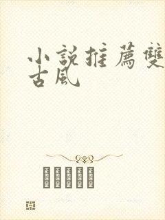 小说推荐双男主古风