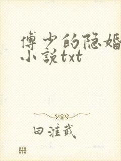 傅少的隐婚甜妻小说txt