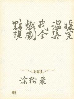 点燃我温暖你电视剧全集完整版免费