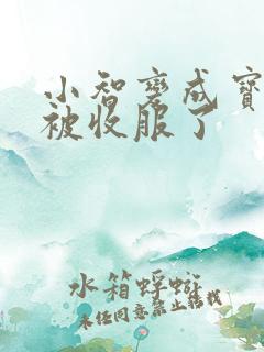 小智变成宝可梦被收服了