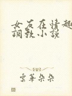 女友在情趣店被调教小说