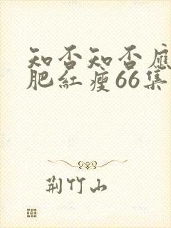 知否知否应是绿肥红瘦66集