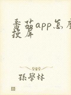 番茄app怎么投屏