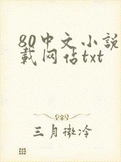 80中文小说下载网站txt
